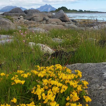 Lofotbo Villa Stamsund Bagian luar foto