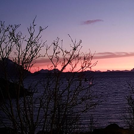 Lofotbo Villa Stamsund Bagian luar foto