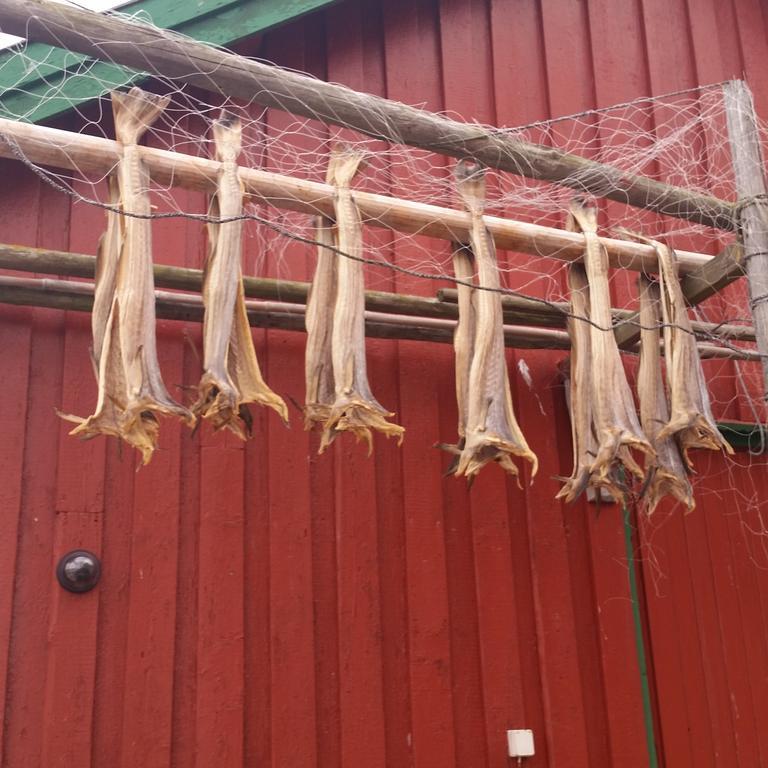 Lofotbo Villa Stamsund Bagian luar foto