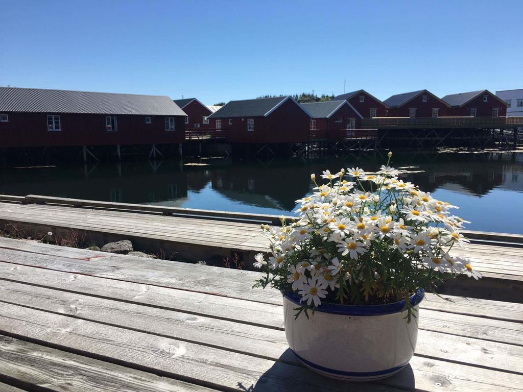Lofotbo Villa Stamsund Bagian luar foto